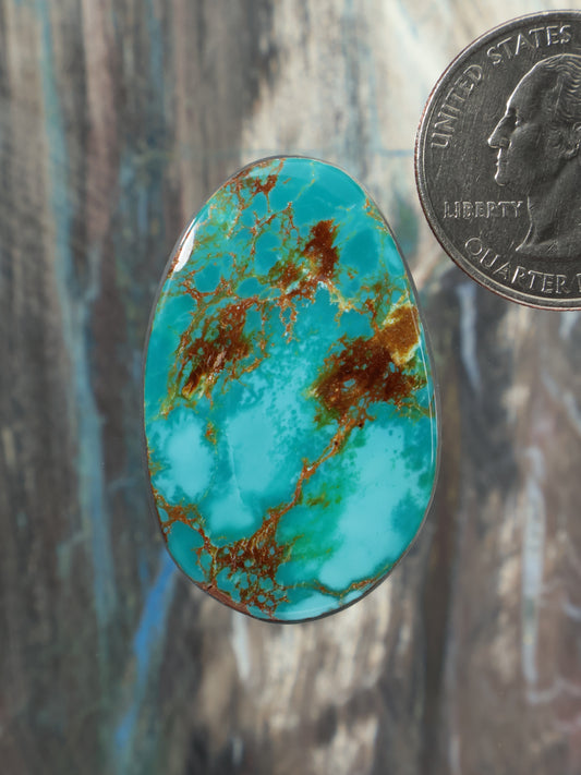 Turquoise oval cabochon gemstone with brown matrix veining