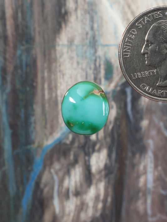 Round green turquoise cabochon gemstone, glossy surface