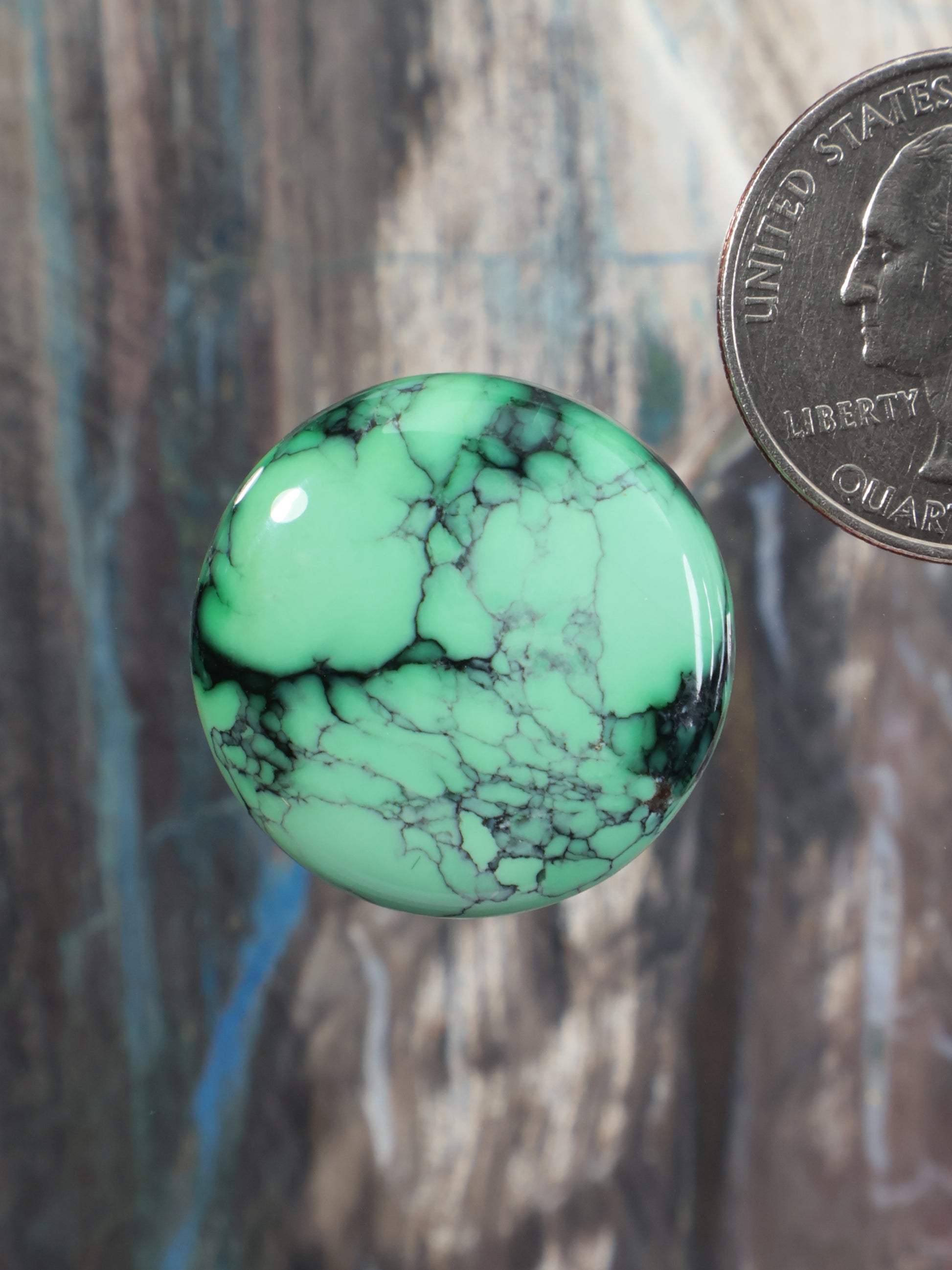 Green variscite cabochon with natural vein pattern, round polished gemstone