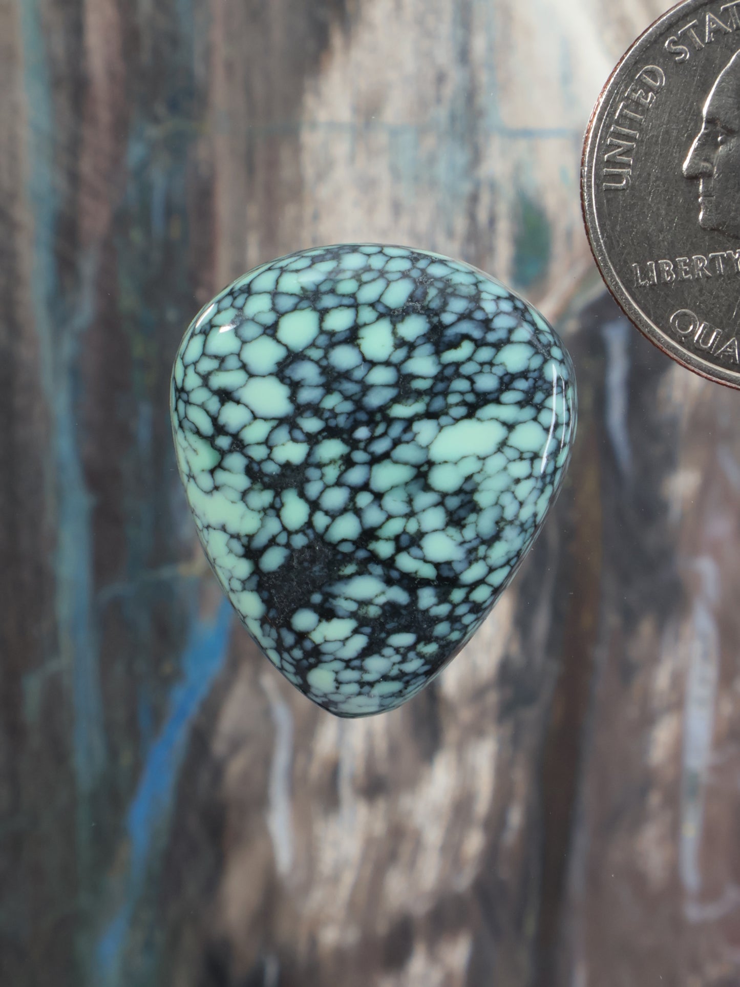Turquoise teardrop variscite cabochon with black vein web pattern