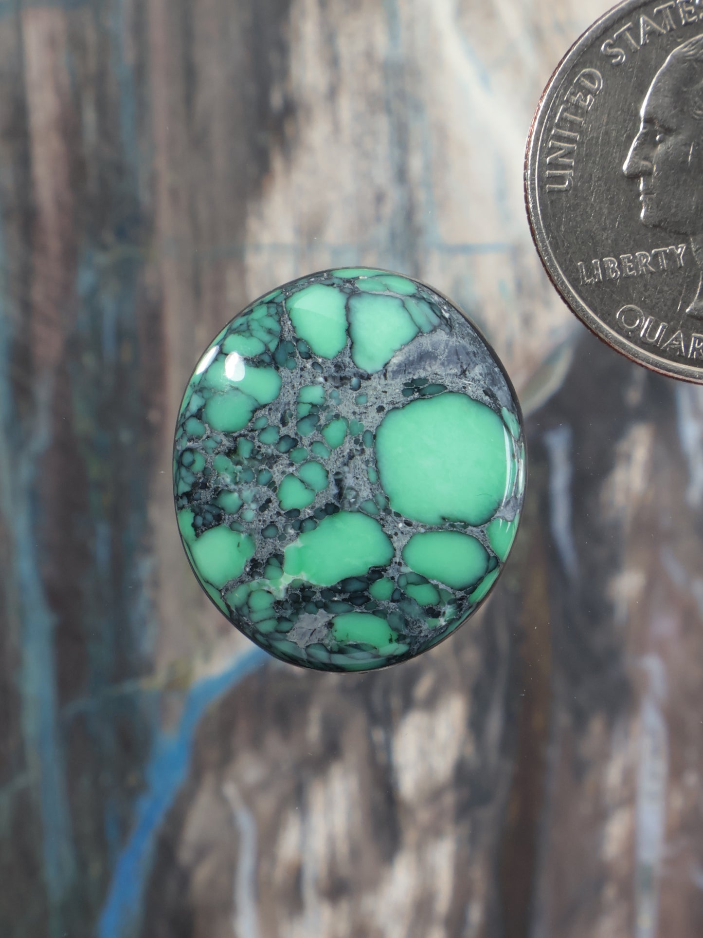 Round variscite cabochon with bright green stones and dark matrix pattern