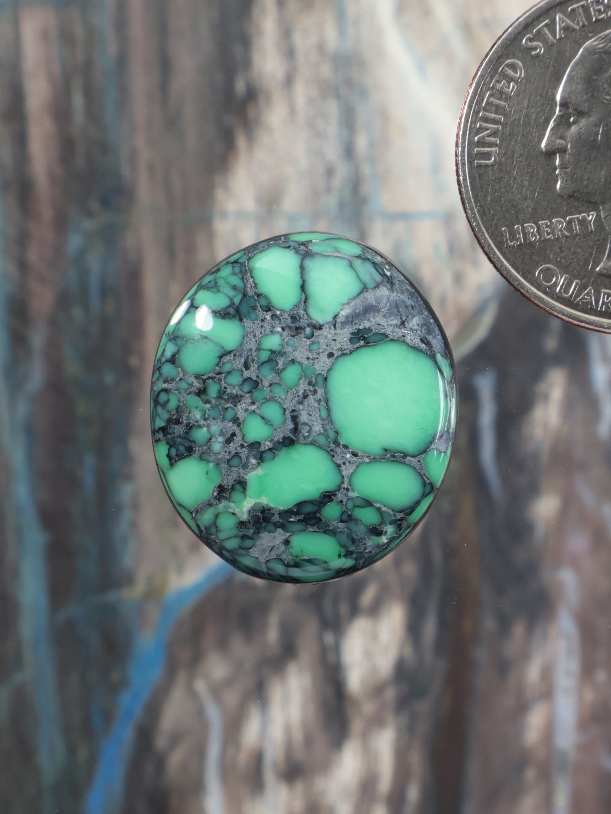 Round variscite cabochon with bright green stones and dark matrix pattern