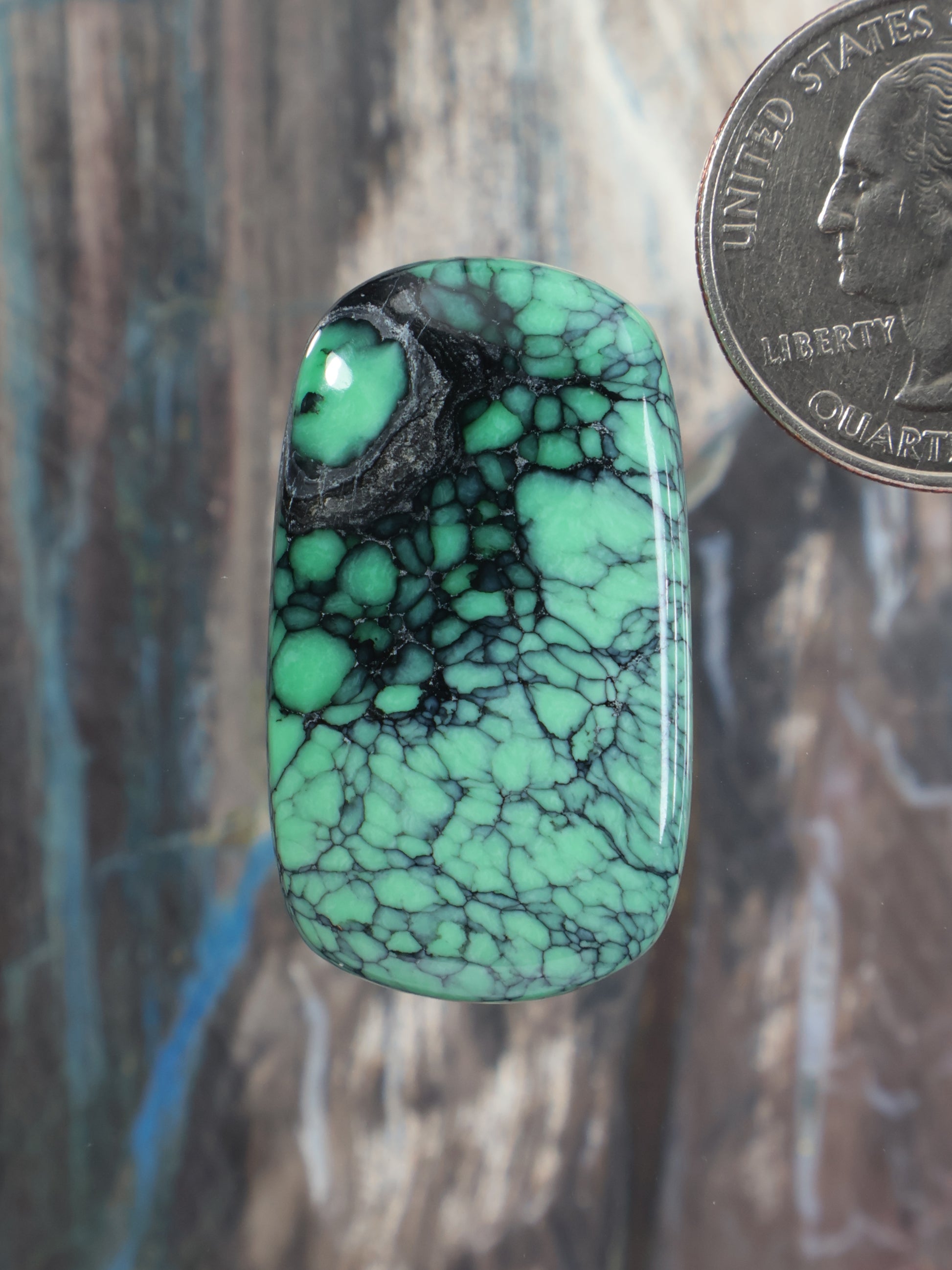 Oval green variscite cabochon with black matrix webbing