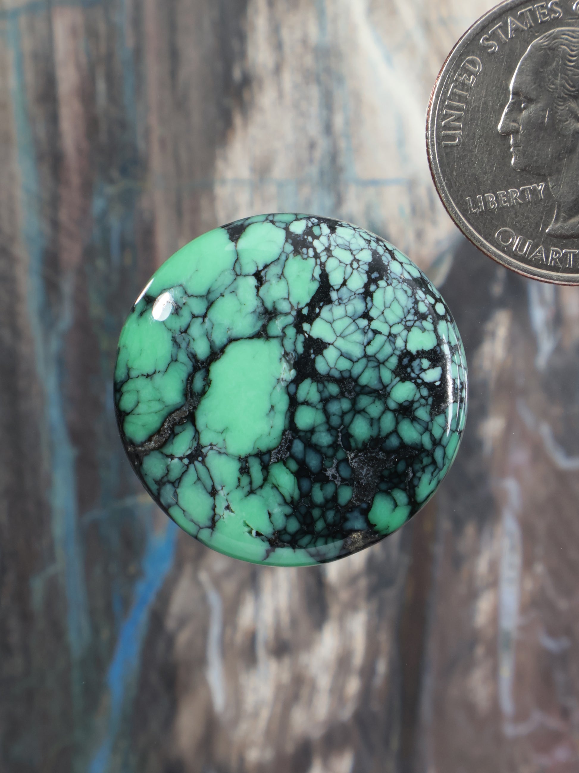 Oval variscite cabochon with bright green base and dark matrix webbing