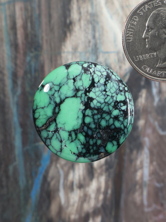 Oval variscite cabochon with bright green base and dark matrix webbing