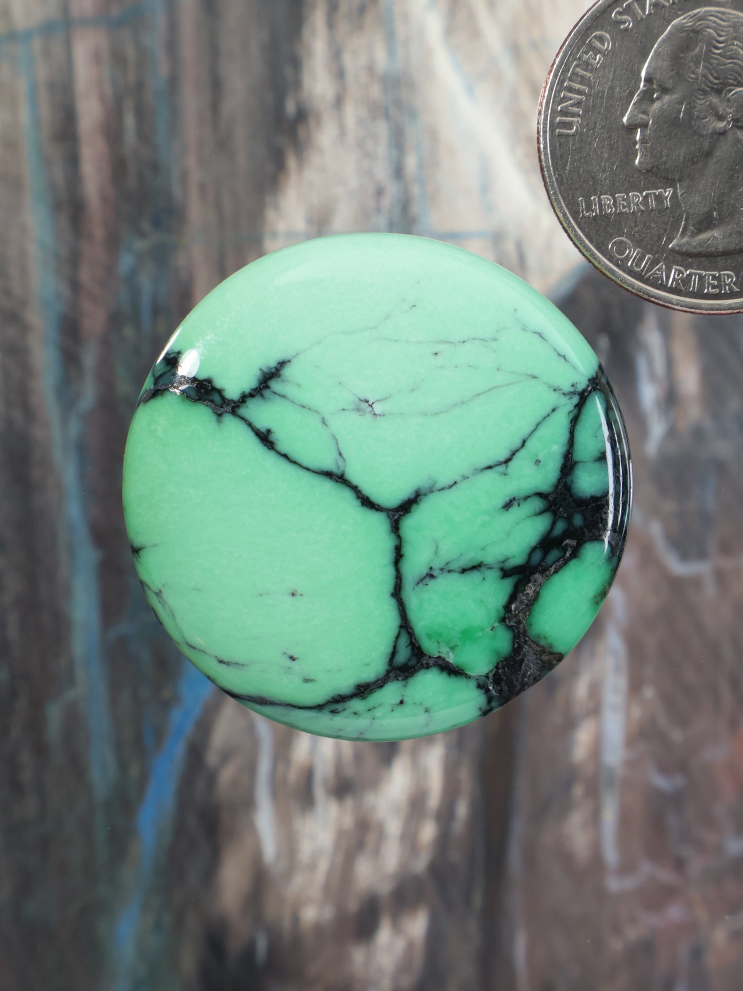 Round green variscite cabochon with black web-like veining, polished gemstone.