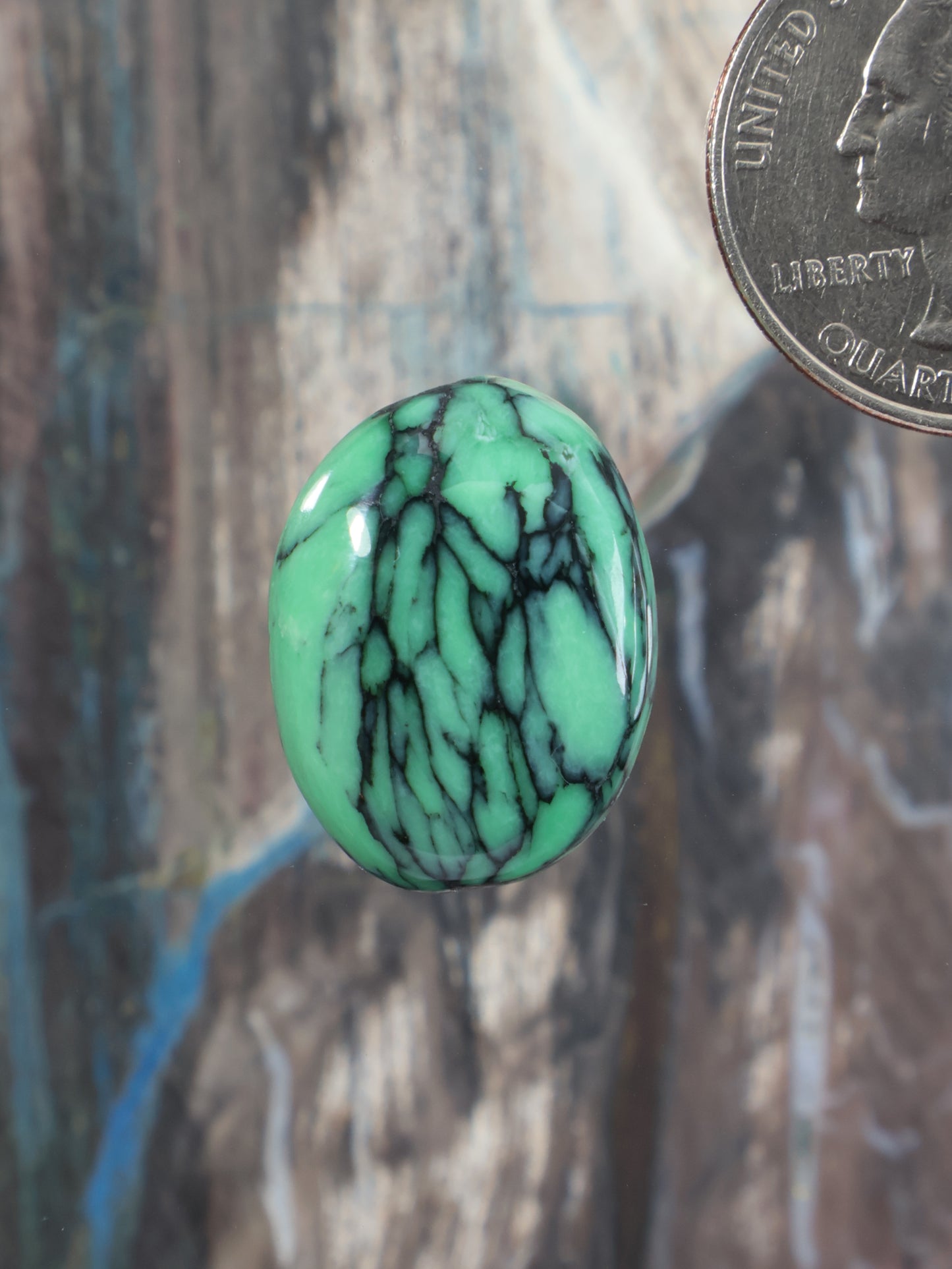 Green variscite cabochon with black matrix veining