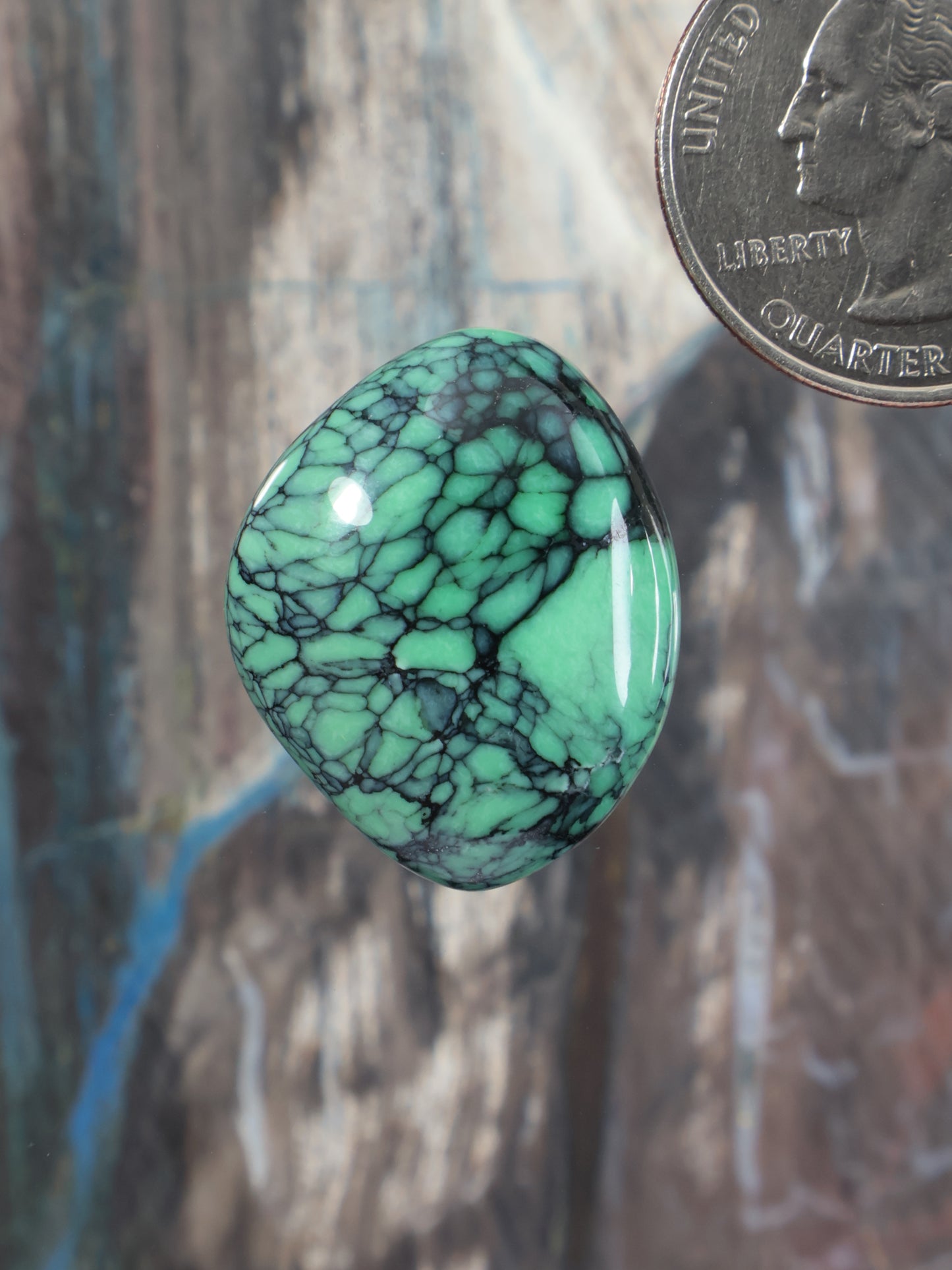 Green variscite oval cabochon with black veining, polished gemstone