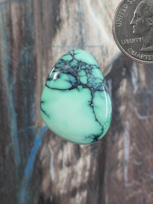 Oval turquoise-green variscite cabochon with dark matrix webbing, polished