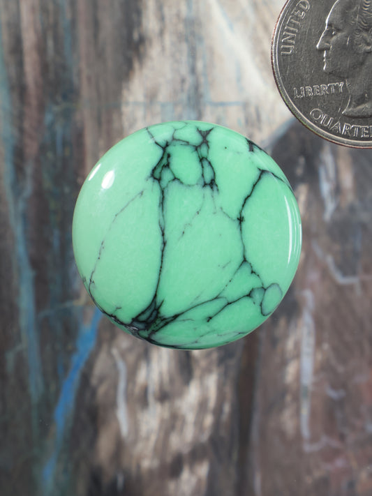 Round green variscite cabochon with black matrix veining