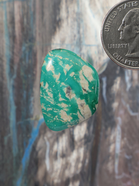 A polished green stone with white marbling, shown next to a US quarter coin for scale, against a textured gray and brown background.