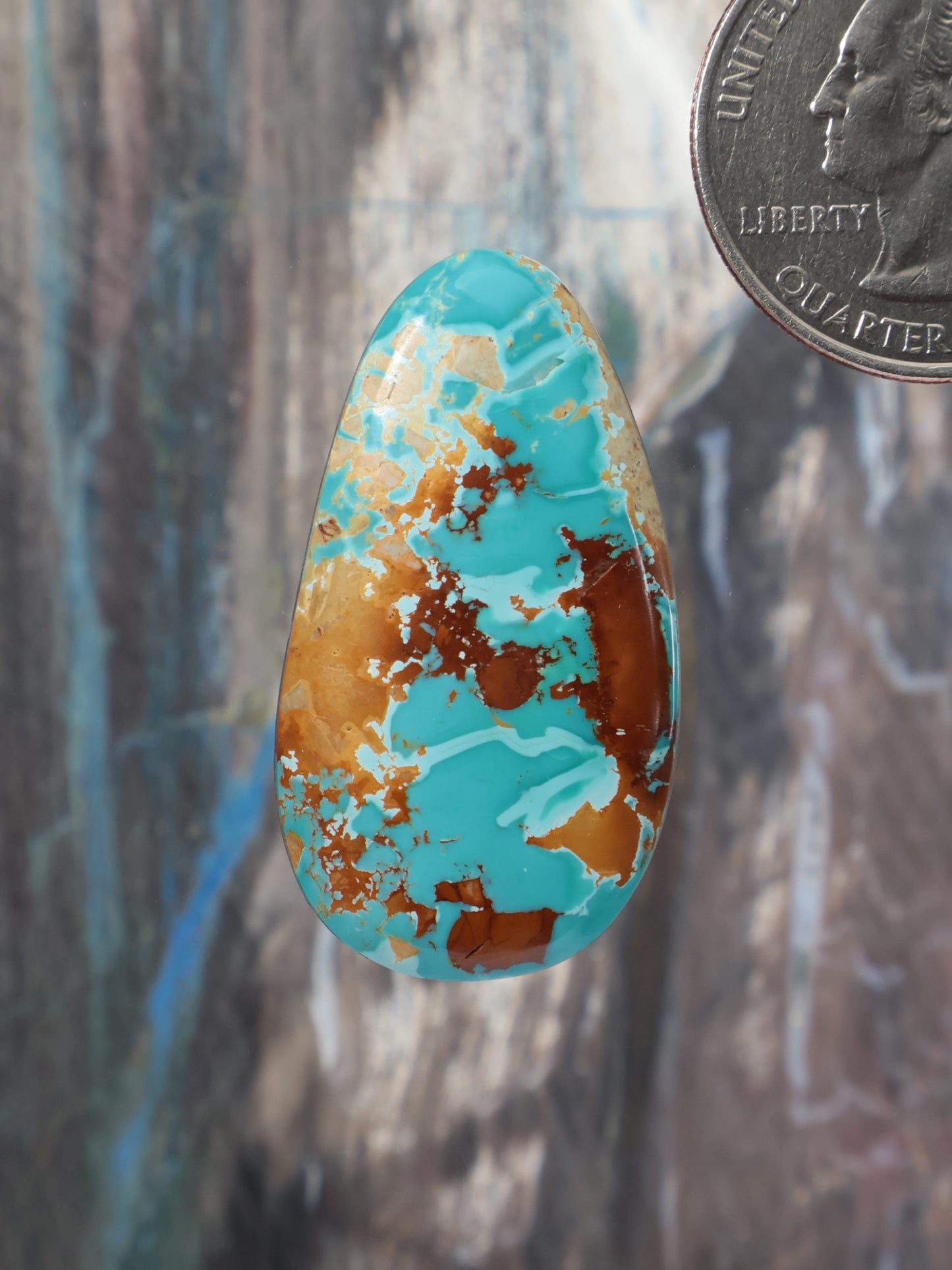 A teardrop-shaped turquoise cabochon with brown and gold matrix patterns, shown next to a US quarter for scale.