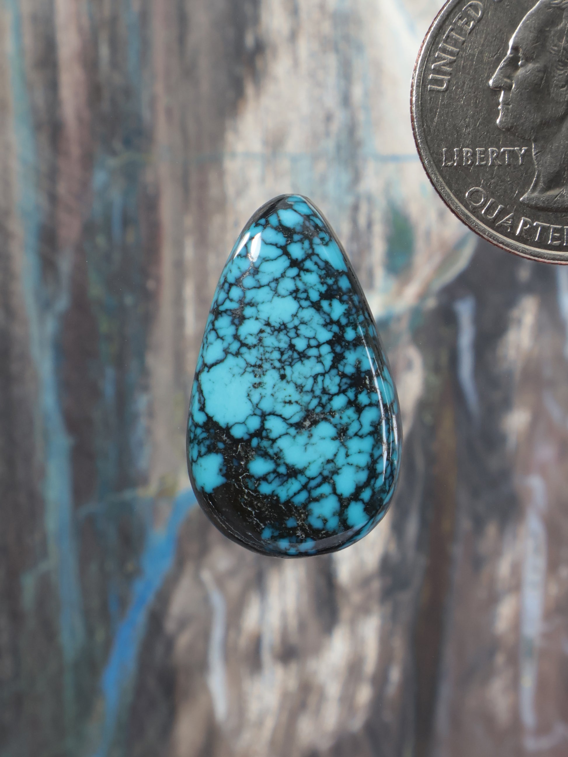 Turquoise teardrop cabochon with black webbed matrix stone