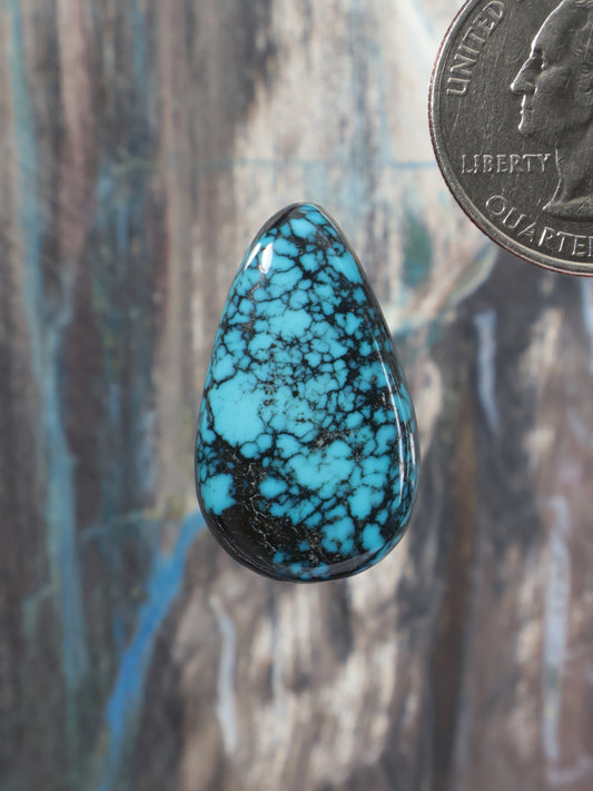 Turquoise teardrop cabochon with black webbed matrix stone