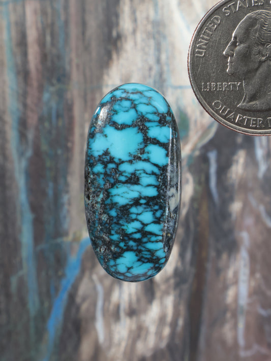 Turquoise cabochon gemstone with dark veined web pattern, oval shape