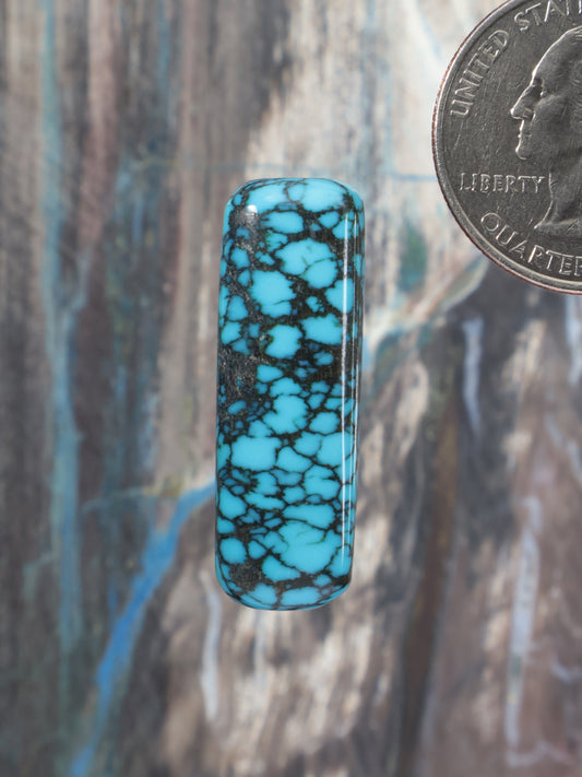Turquoise cabochon with dark webbed pattern, rounded rectangular shape