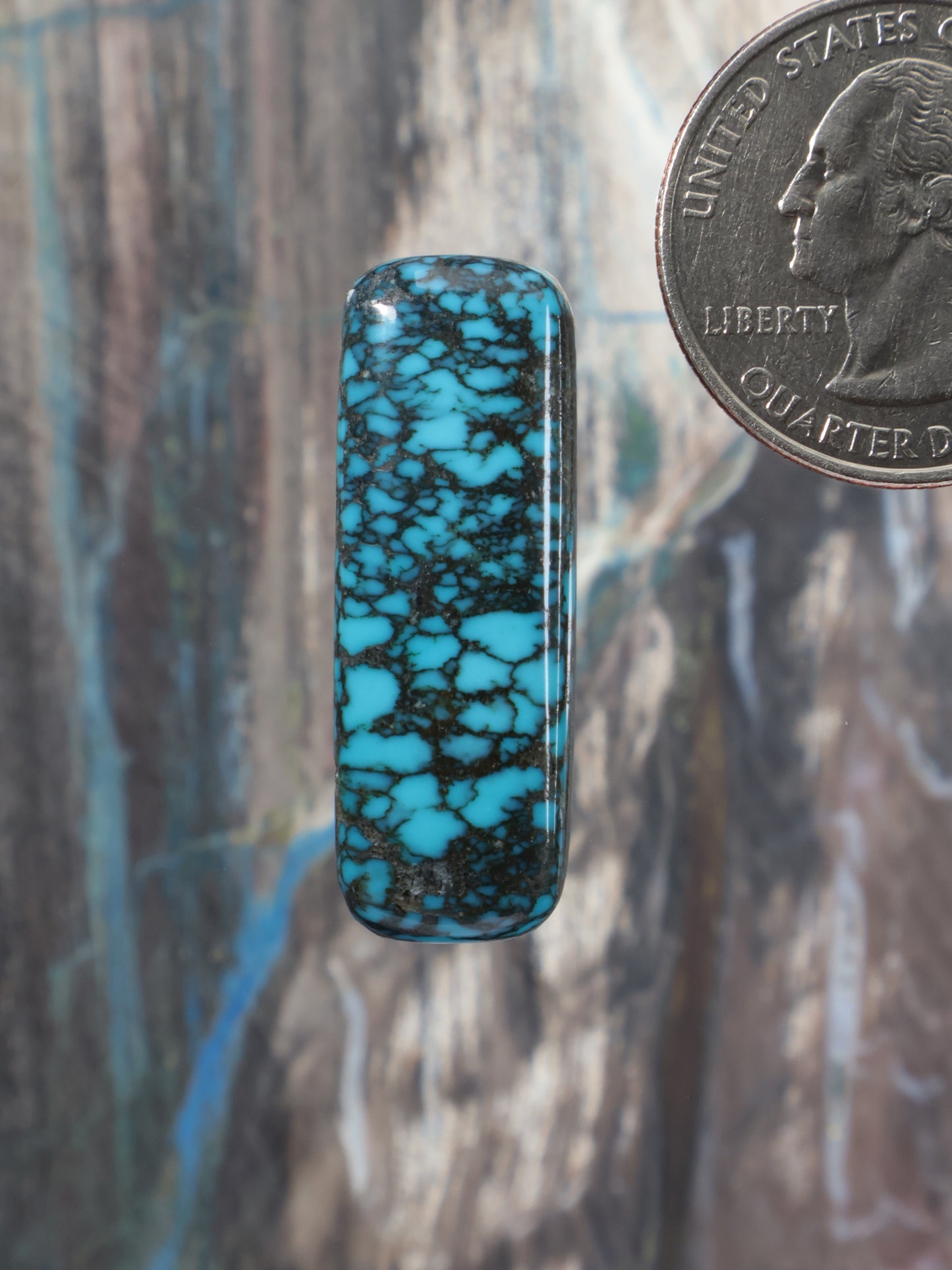 Rectangular turquoise cabochon with dark webbed matrix and silver setting