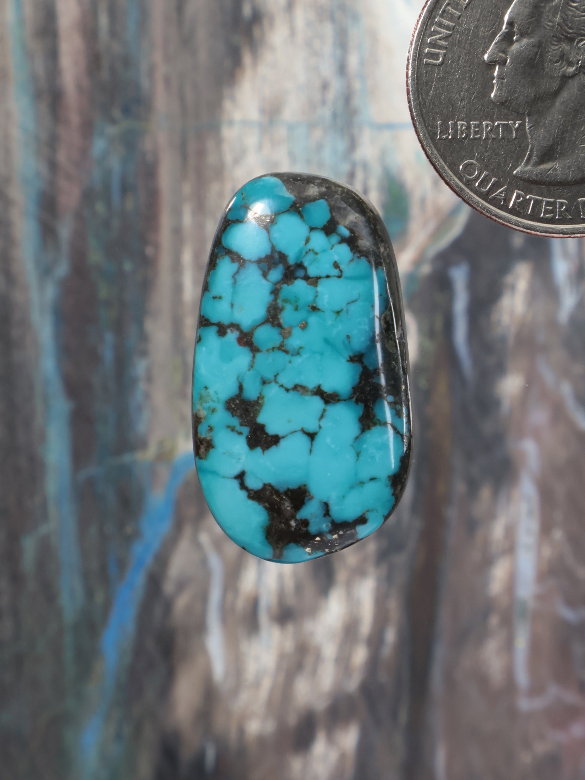 Turquoise oval cabochon with black matrix veining, polished gemstone