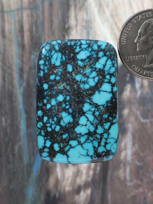 Cloud Mountain turquoise cabochon with rectangular cushion shape and dark webbed matrix