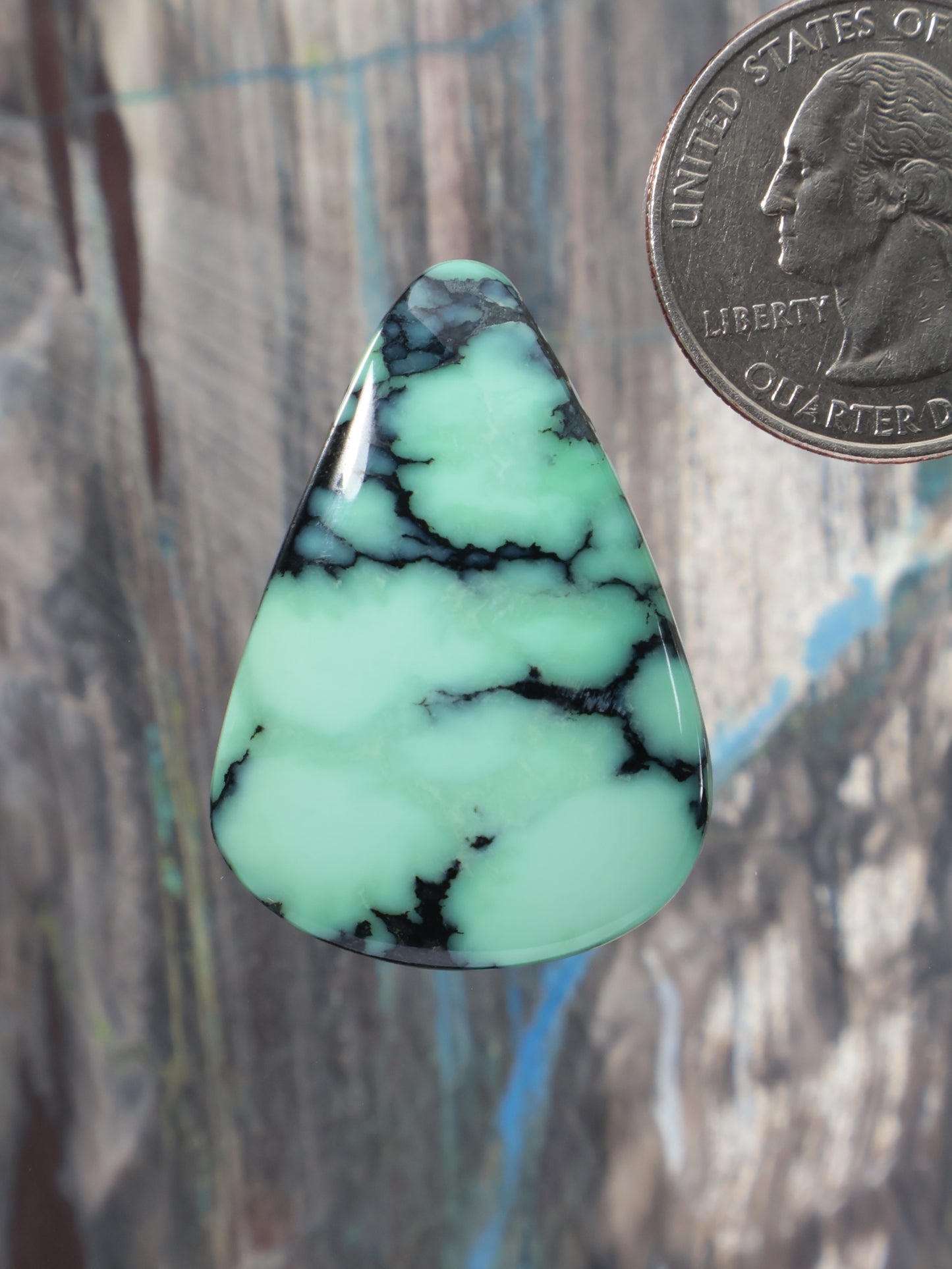 Variscite cabochon, teardrop shape with dark matrix veining