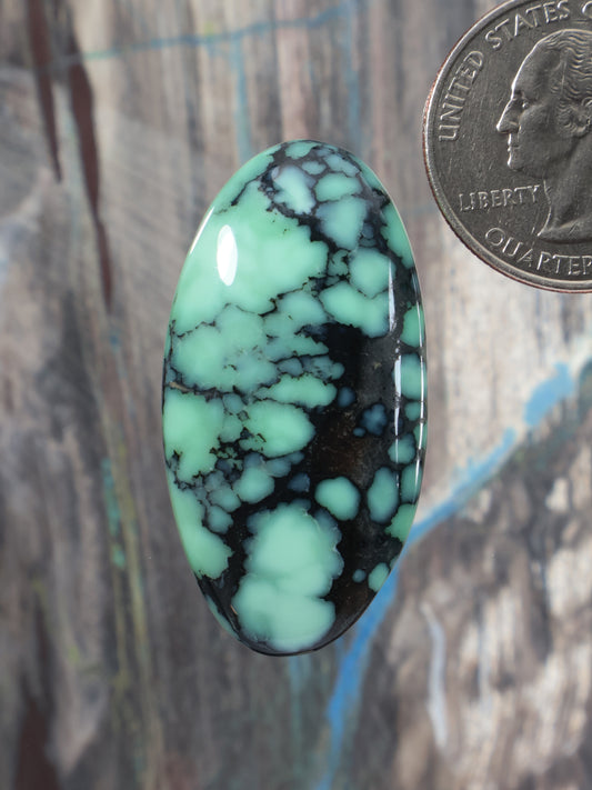Oval variscite cabochon with green and black web pattern, domed stone
