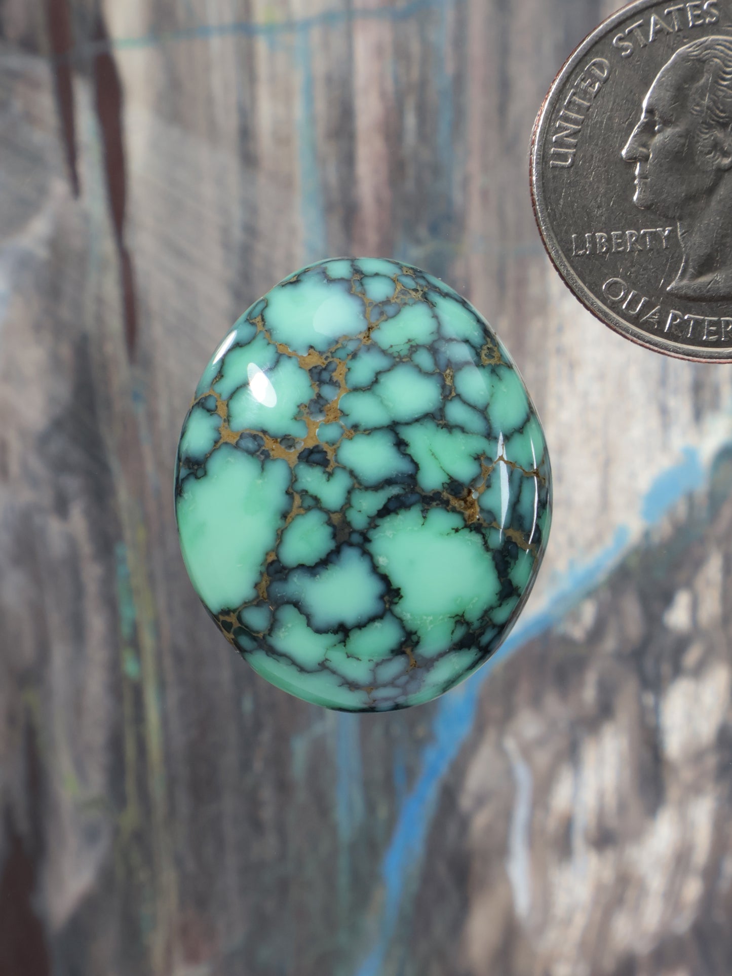 Oval variscite cabochon with dark webbed veining, polished gemstone