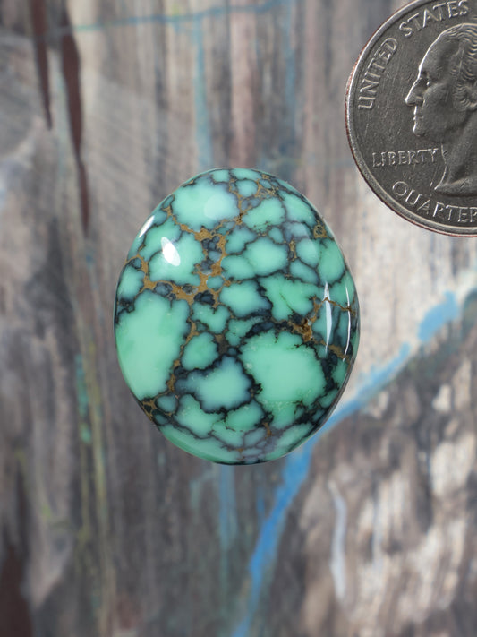Oval variscite cabochon with dark webbed veining, polished gemstone