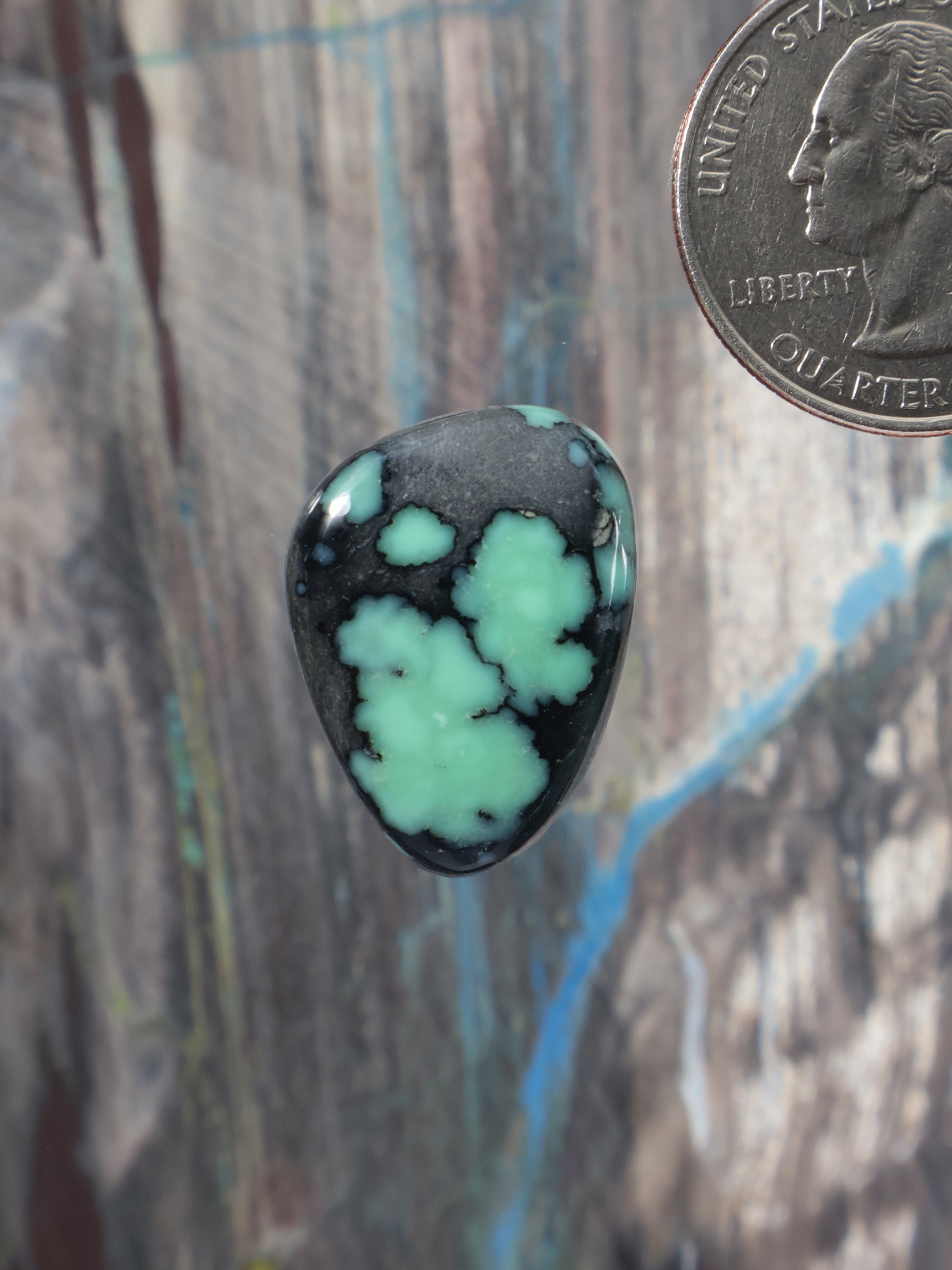 Angel Wing variscite cabochon, oval polished teal-green stone with dark web matrix
