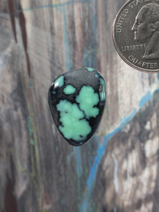 Angel Wing variscite cabochon, oval polished teal-green stone with dark web matrix