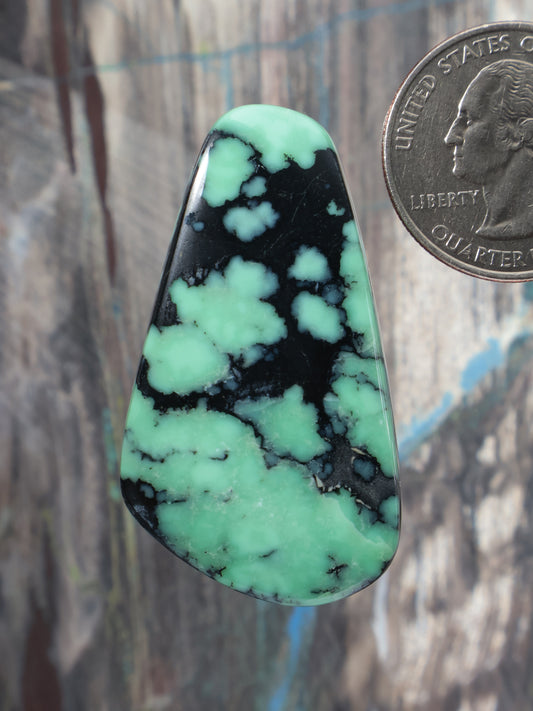 Angel Wing variscite cabochon, teardrop mint green with black veining