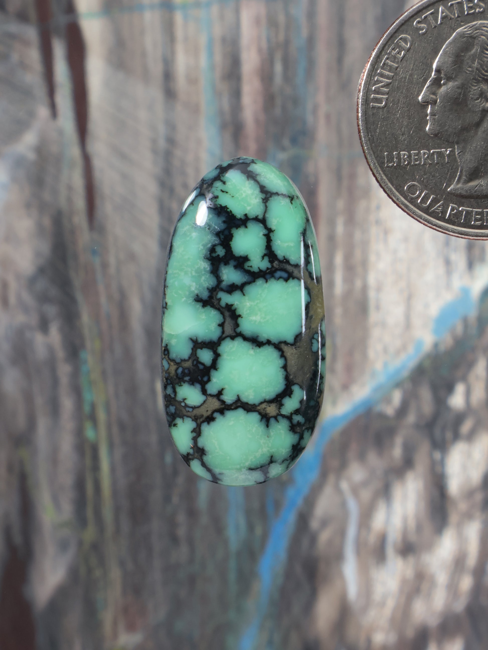 Oval variscite cabochon with black web pattern, Angel Wing style