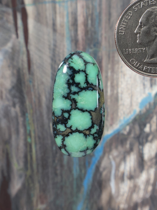 Oval variscite cabochon with black web pattern, Angel Wing style