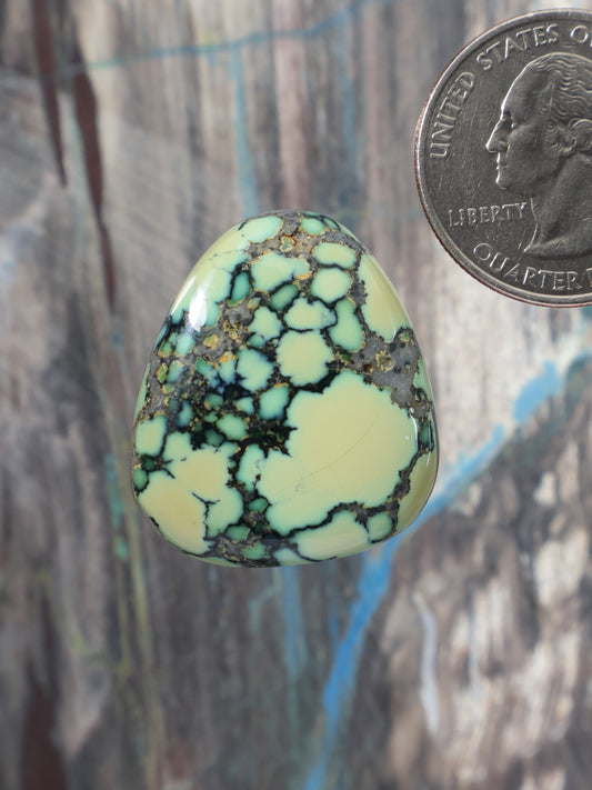 Teardrop variscite cabochon, pale with dark green-black web matrix