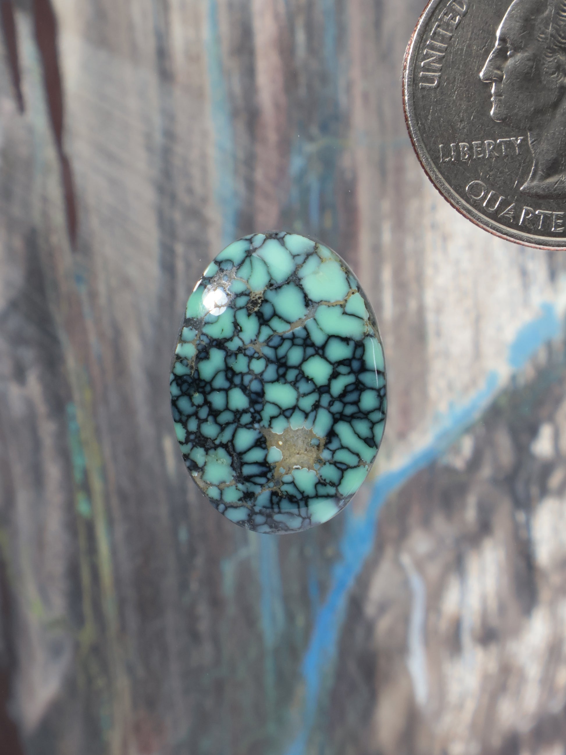variscite cabochon oval with black vein web pattern