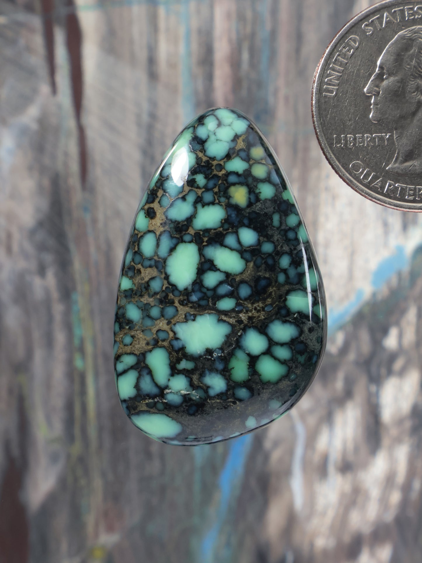 Variscite cabochon: teardrop stone with green and dark web matrix