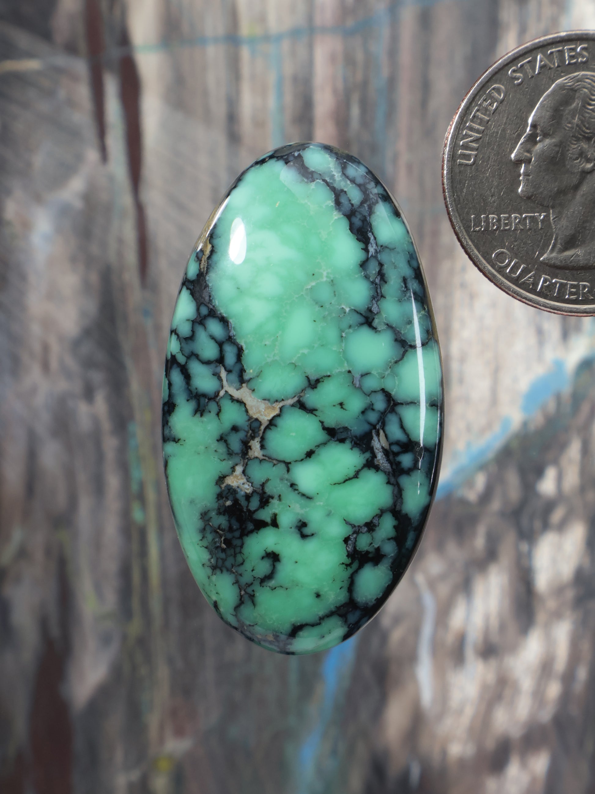 Oval green variscite cabochon with dark webbed veining