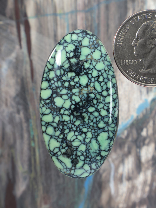 Oval variscite cabochon with base and dark web-like matrix veins