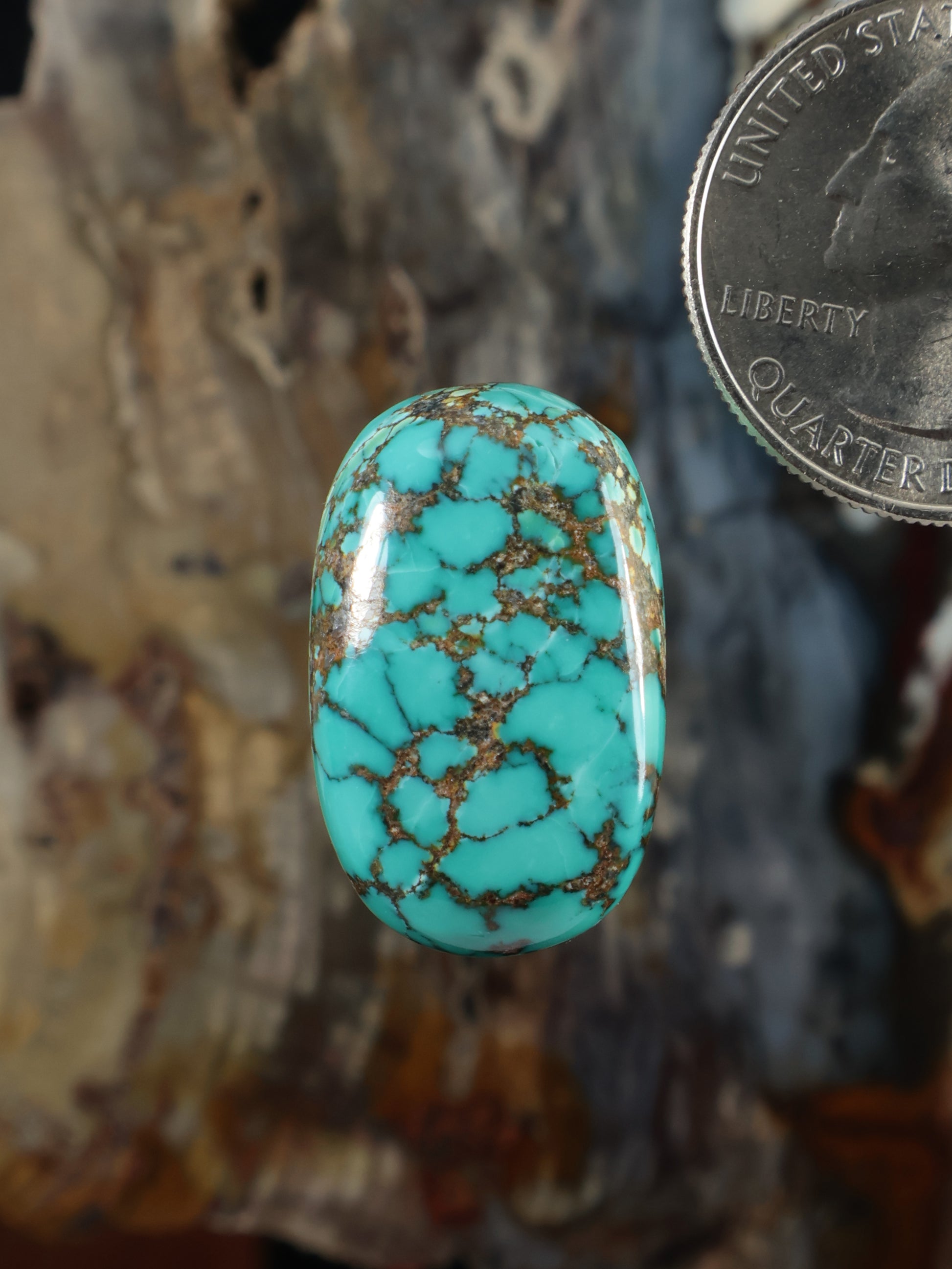 Oval turquoise cabochon with brown web matrix, gold-toned bezel