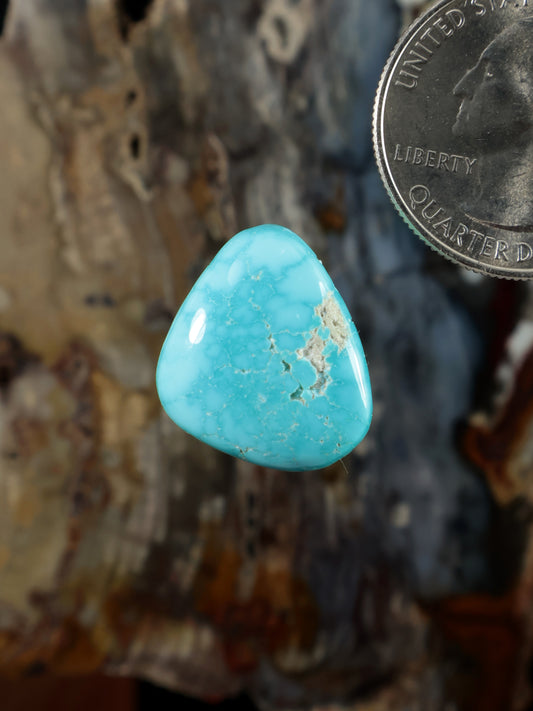 Teardrop turquoise cabochon gemstone with natural matrix veining, polished.