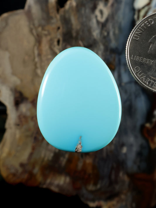 Turquoise oval cabochon gemstone with smooth polished surface and small prong detail