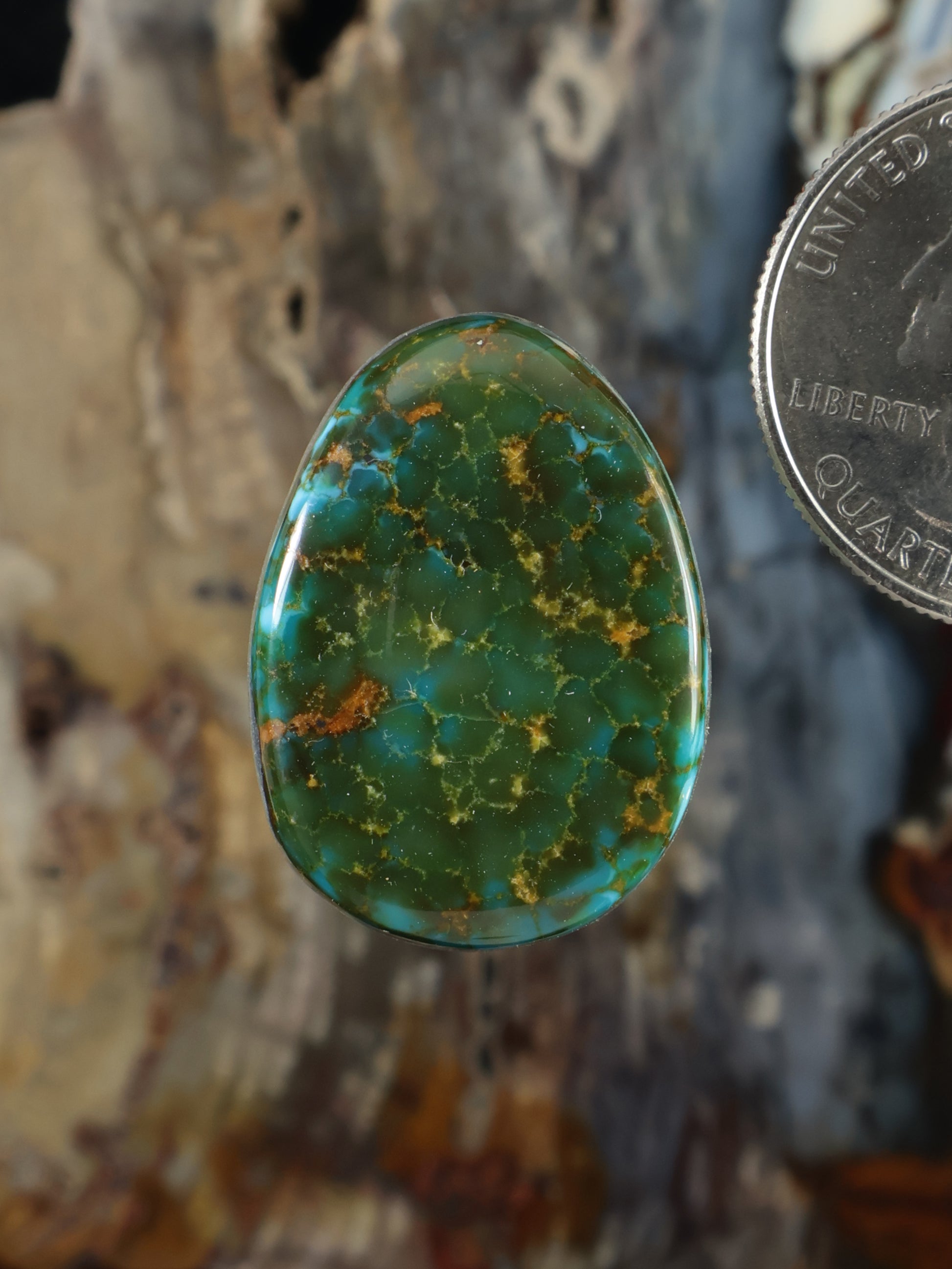 Turquoise cabochon gemstone with green base and red-brown web pattern