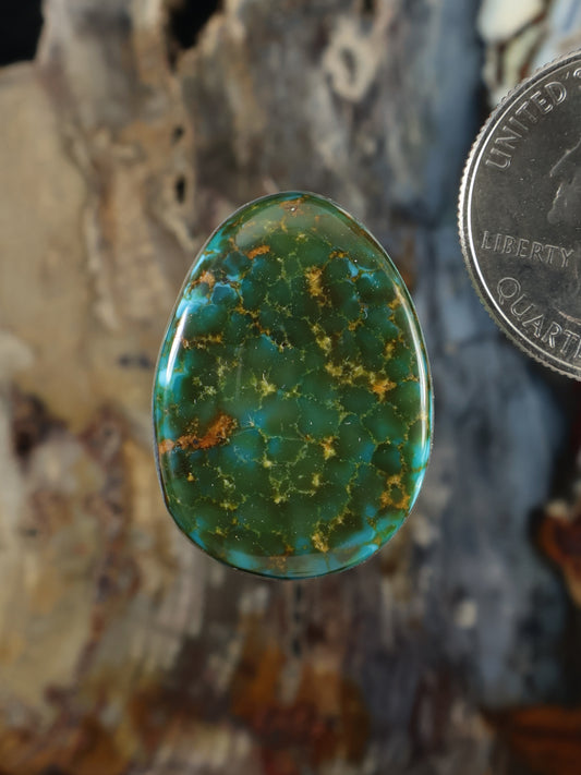 Turquoise cabochon gemstone with green base and red-brown web pattern