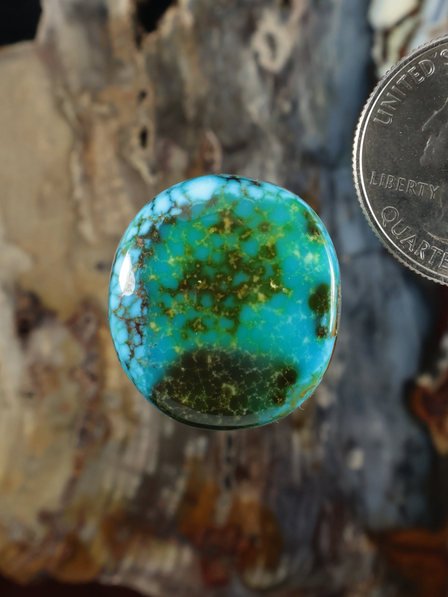 Turquoise cabochon gemstone with blue-green body and dark green matrix, round dome