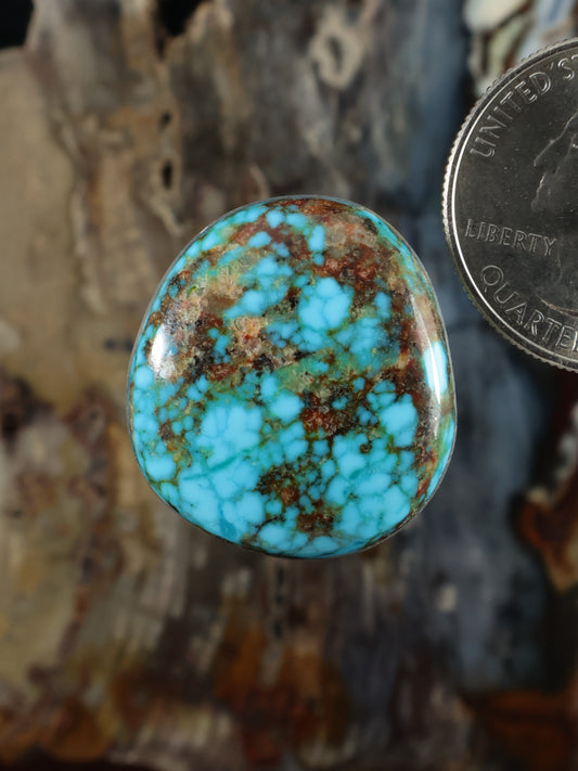 Turquoise cabochon with red web vein pattern, oval domed gemstone