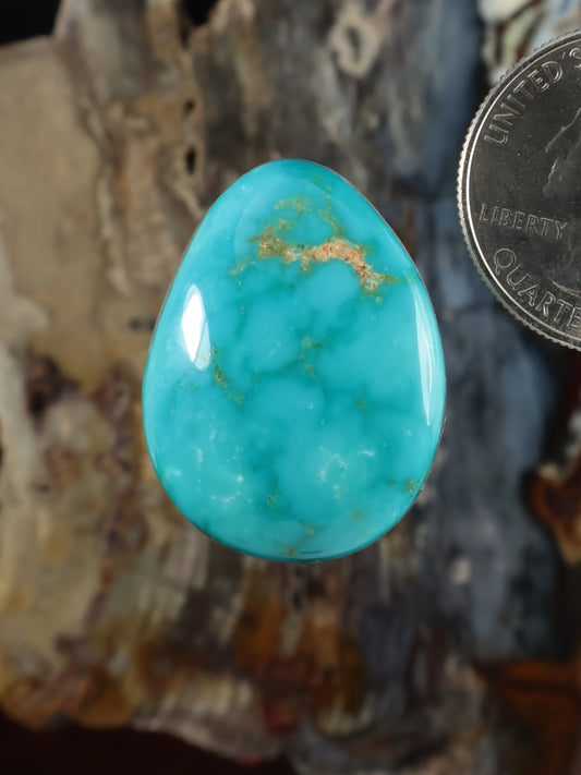 Kingman turquoise cabochon, oval blue-green stone with natural golden matrix vein detail