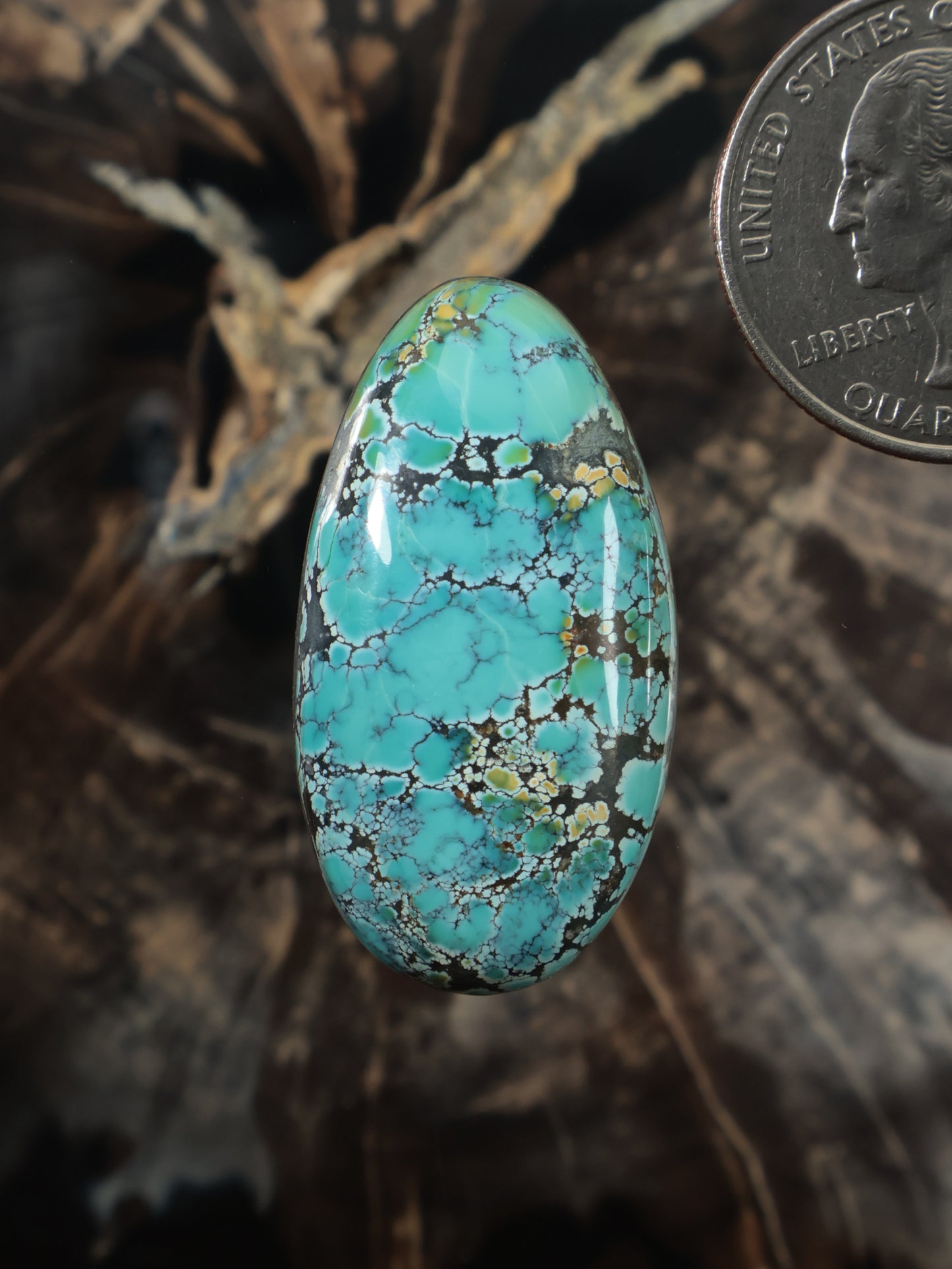Oval polychrome turquoise cabochon with blue and green veining gemstone