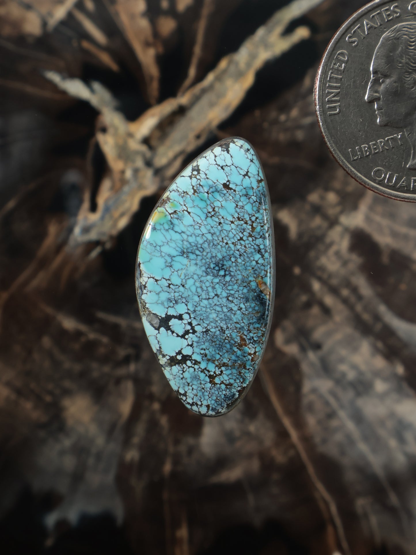 Turquoise teardrop cabochon with blue matrix webbing