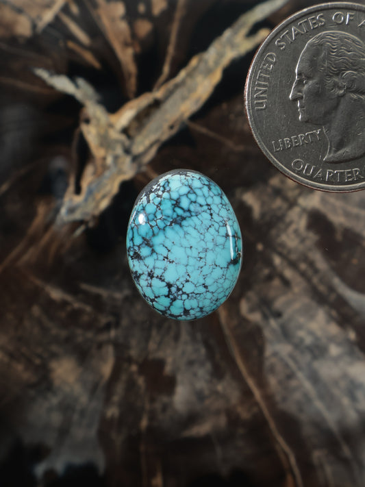 Oval turquoise cabochon gemstone with blue veining, set-stone close-up