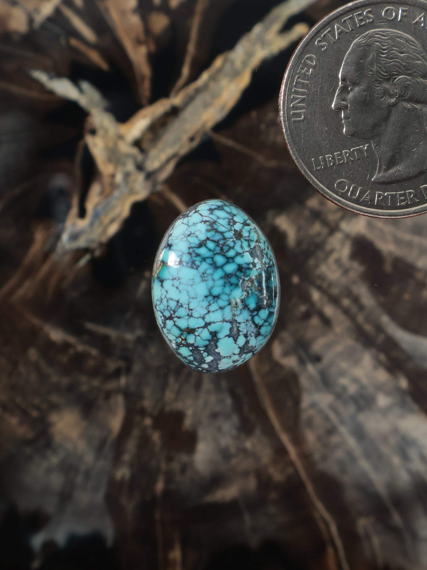 Oval turquoise cabochon gemstone with blue matrix web pattern