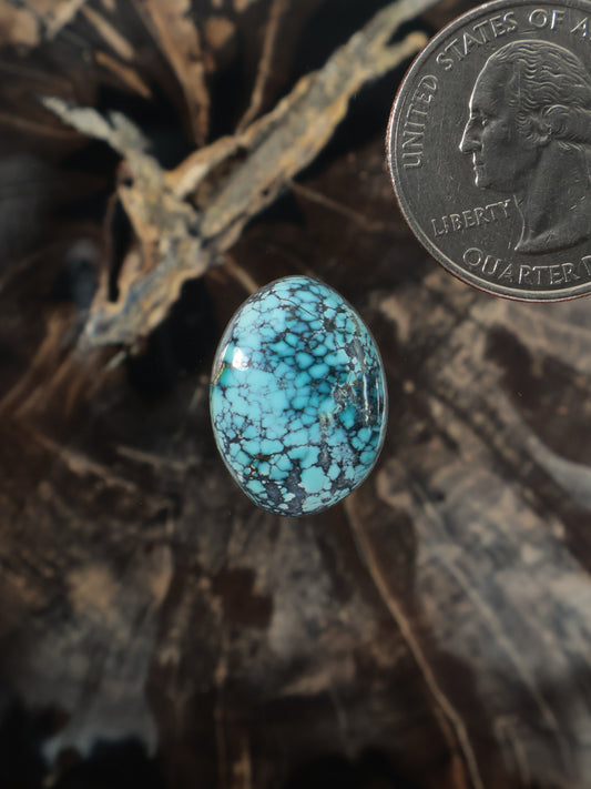 Oval turquoise cabochon gemstone with blue matrix web pattern